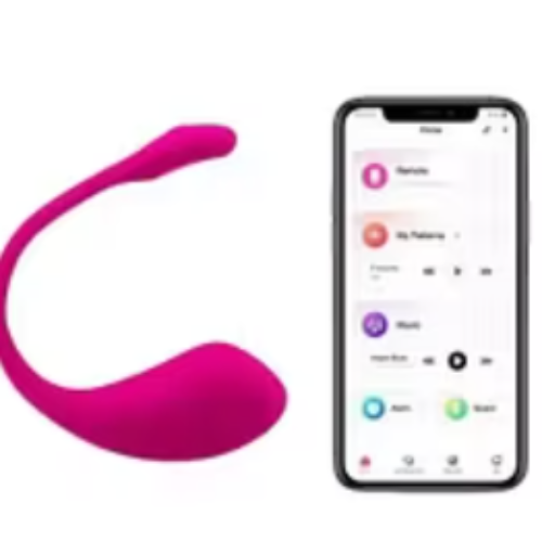 Lovense Lush 2 Remote Vibrator In Pakistan