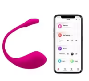 Lovense Lush 2 Remote Vibrator In Pakistan